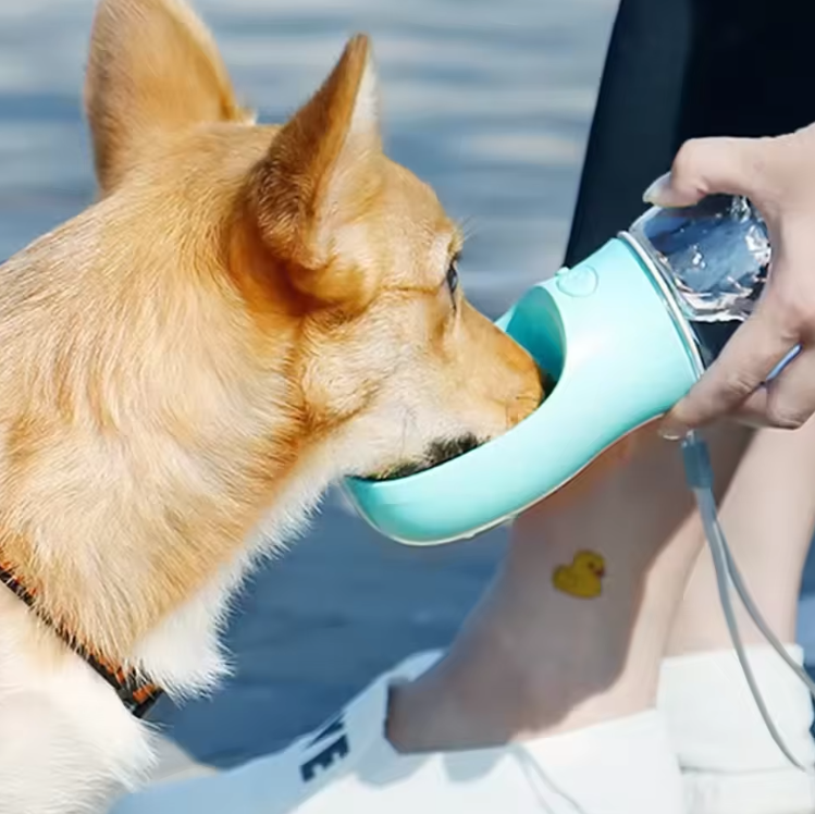 Pet Travel Water Bottle with Food Storage & Bowl