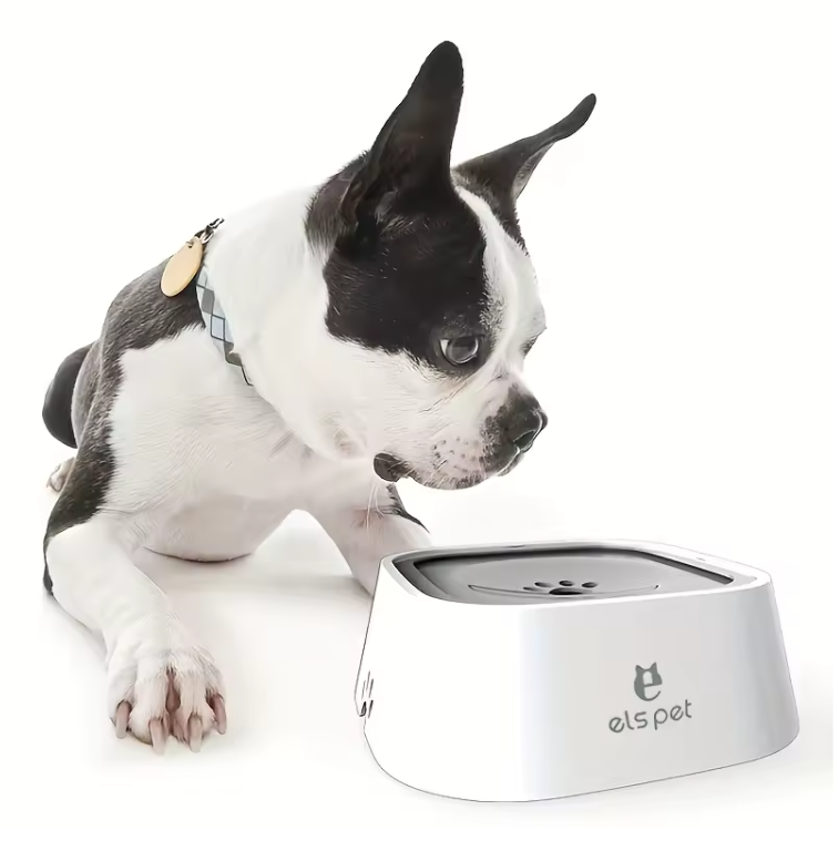 No-Spill Slow Feeder Dog Water Bowl